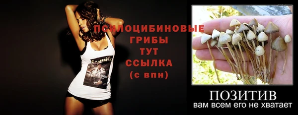 прущие крисы Алзамай
