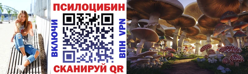 MEGA зеркало  Слободской  Галлюциногенные грибы MAGIC MUSHROOMS 